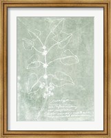 Framed Essential Botanicals I