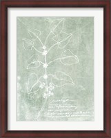 Framed Essential Botanicals I