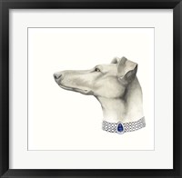 Haute Hounds III Framed Print