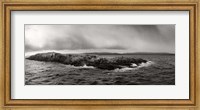 Framed Island of arctic birds and sea lions, Beagle Channel, Patagonia, Argentina