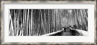 Framed Stepped walkway passing through a bamboo forest, Arashiyama, Kyoto, Japan