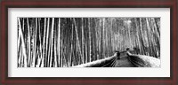 Framed Stepped walkway passing through a bamboo forest, Arashiyama, Kyoto, Japan