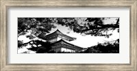 Framed Low angle view of trees in front of a temple, Kinkaku-ji Temple, Kyoto City, Japan