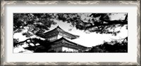 Framed Low angle view of trees in front of a temple, Kinkaku-ji Temple, Kyoto City, Japan