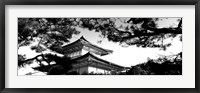 Framed Low angle view of trees in front of a temple, Kinkaku-ji Temple, Kyoto City, Japan