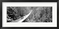 Framed Capilano Bridge, Suspended Walk, Vancouver, British Columbia, Canada BW