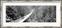 Framed Capilano Bridge, Suspended Walk, Vancouver, British Columbia, Canada BW