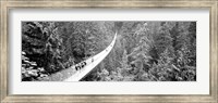 Framed Capilano Bridge, Suspended Walk, Vancouver, British Columbia, Canada BW