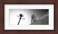 Framed Low angle view of a palm tree near a church , Ios, Greece