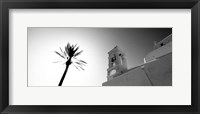 Framed Low angle view of a palm tree near a church , Ios, Greece