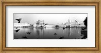 Framed Reflection of Golden Temple, Amritsar, Punjab, India (black & white)