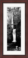 Framed Waterfall in a forest, Multnomah Falls, Columbia River Gorge, Oregon