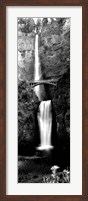 Framed Waterfall in a forest, Multnomah Falls, Columbia River Gorge, Oregon