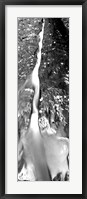 Framed Stream flowing through rocks, North Creek, Zion National Park, Utah