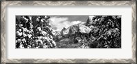 Framed Snowy trees in winter, Yosemite Valley, Yosemite National Park, California