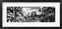 Framed Snowy trees in winter, Yosemite Valley, Yosemite National Park, California