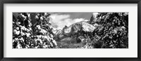 Framed Snowy trees in winter, Yosemite Valley, Yosemite National Park, California