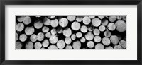 Framed Marked Wood In A Timber Industry, Black Forest, Germany BW