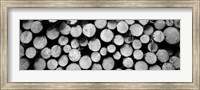 Framed Marked Wood In A Timber Industry, Black Forest, Germany BW