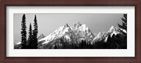 Framed Cathedral Group Grand Teton National Park WY