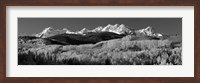 Framed Colorado, Rocky Mountains, aspens, autumn
