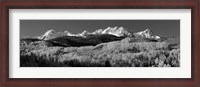 Framed Colorado, Rocky Mountains, aspens, autumn