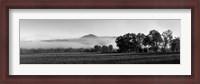 Framed Fog over mountain, Cades Cove, Great Smoky Mountains National Park, Tennessee