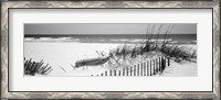 Framed Fence on the beach, Alabama, Gulf of Mexico