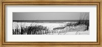 Framed Fence on the beach, Bon Secour National Wildlife Refuge, Bon Secour, Alabama