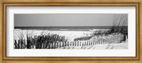 Framed Fence on the beach, Bon Secour National Wildlife Refuge, Bon Secour, Alabama