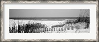 Framed Fence on the beach, Bon Secour National Wildlife Refuge, Bon Secour, Alabama