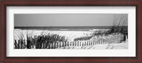 Framed Fence on the beach, Bon Secour National Wildlife Refuge, Bon Secour, Alabama
