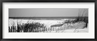 Framed Fence on the beach, Bon Secour National Wildlife Refuge, Bon Secour, Alabama