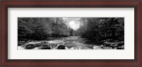 Framed Little Pigeon River, Great Smoky Mountains National Park, Tennessee