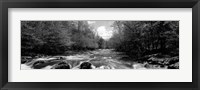 Framed Little Pigeon River, Great Smoky Mountains National Park, Tennessee