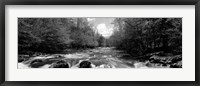 Framed Little Pigeon River, Great Smoky Mountains National Park, Tennessee