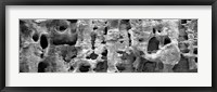 Framed Close-up of a rock, Capitol Reef National Park, Utah