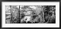 Framed Trees at the lakeside, Great Sacandaga Lake, Adirondack Mountains, NY