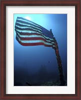 Framed American Flag on a Sunken Ship in Key Largo, Florida