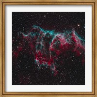 Framed NGC 6995, the Bat Nebula
