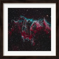 Framed NGC 6995, the Bat Nebula