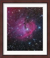 Framed VDB 93 is an emission and reflection Nebula in Canis Major