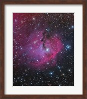 Framed VDB 93 is an emission and reflection Nebula in Canis Major