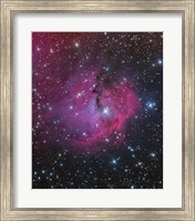 Framed VDB 93 is an emission and reflection Nebula in Canis Major