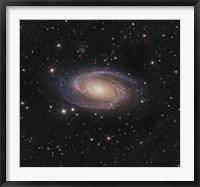 Framed Messier 81 spiral galaxy in the Constellation Ursa Major