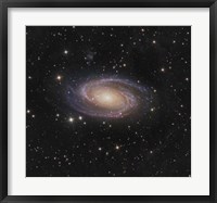 Framed Messier 81 spiral galaxy in the Constellation Ursa Major
