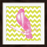 Framed Bright Menagerie Toucan