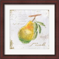 Framed Garden Treasures III