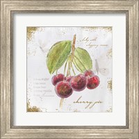 Framed Garden Treasures IV