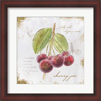 Framed Garden Treasures IV